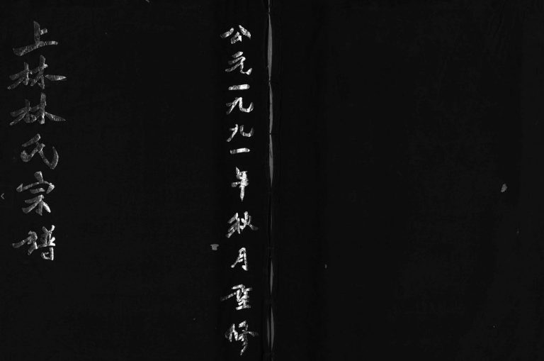 上林林氏宗谱[不分卷]1991年重修 浙江温州乐清林氏电子版家谱下载