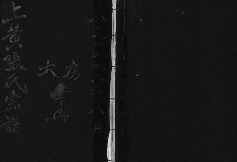 乐清县白溪上黄张氏宗谱[4册]1992年 浙江温州张氏电子版家谱下载