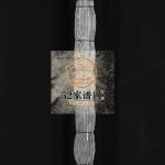 中山刘氏大宗谱[不分卷]1893重修 浙江温州乐清市刘氏电子版家谱下载