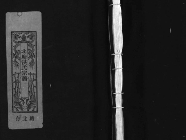 北塘洪氏宗谱[4卷]1982年重修 浙江省乐邑北塘洪氏宗谱电子版家谱下载