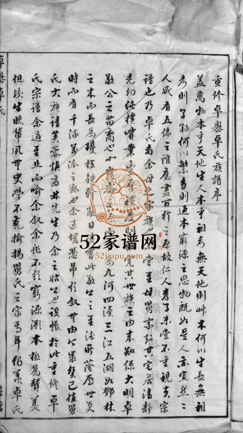 卓岙卓氏宗谱[不分卷]1800年重修 浙江温州乐清市卓氏电子版家谱下载