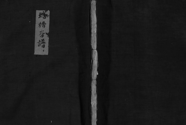 吴氏宗谱塔桥房谱[不分卷]1868年重修 浙江温州乐清市吴氏电子版家谱下载