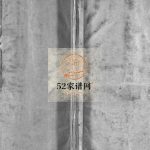 吕庄叶氏宗谱[2册]1981年重修 乐清市 永嘉县三元堂大亨叶氏宗谱电子版家谱下载