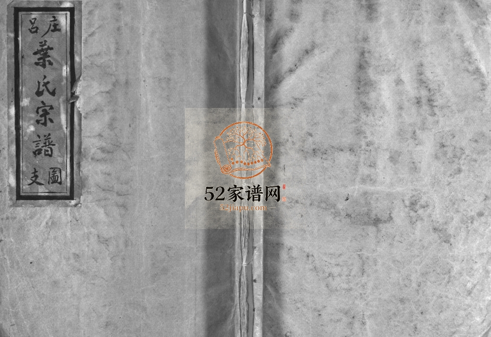 吕庄叶氏宗谱[2册]1981年重修 乐清市 永嘉县三元堂大亨叶氏宗谱电子版家谱下载