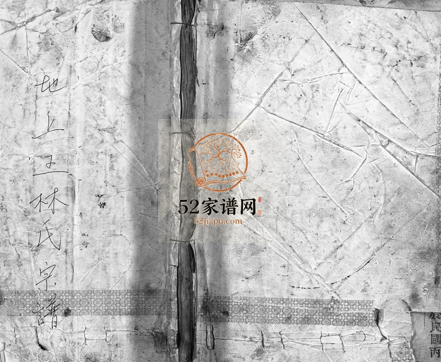 地上黄林氏宗谱[3卷]1947年修 浙江省温州市乐清市林氏电子版家谱下载