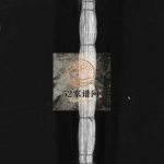 埭头翁氏大宗谱[不分卷]1980年重修 浙江省温州乐清市翁氏电子版家谱下载