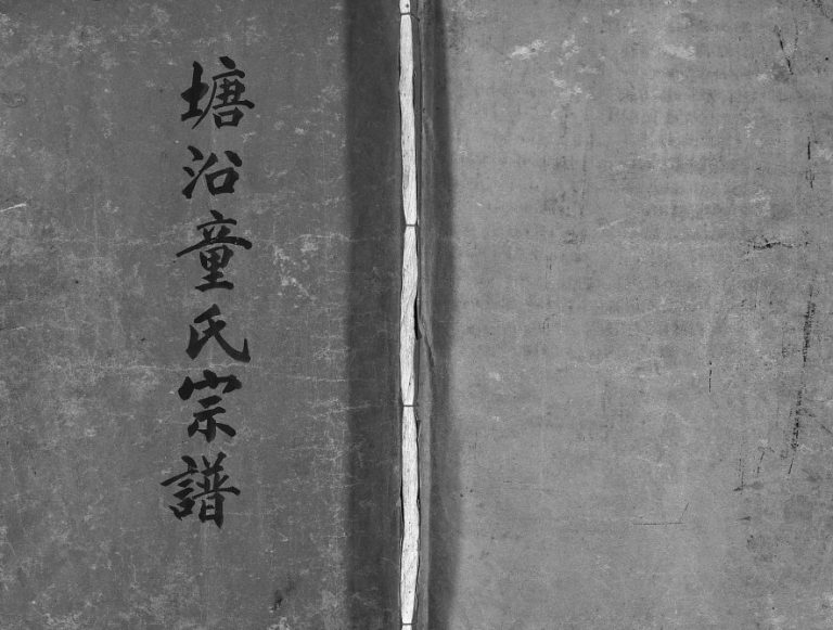 乐清东乡塘沿童氏宗谱[3卷]1916年修 浙江温州乐清市童学堂童氏电子版家谱下载