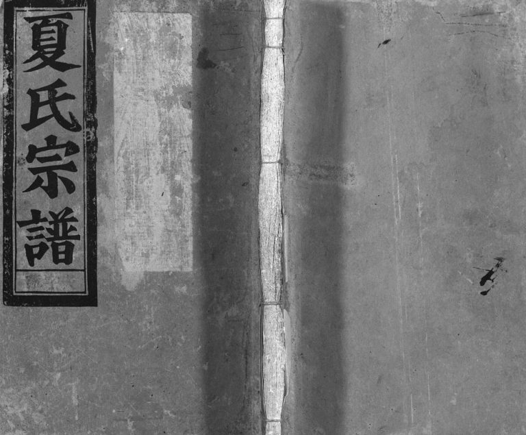 蒲川夏氏宗谱[不分卷]1915年重修 温州乐清市夏氏电子版家谱下载