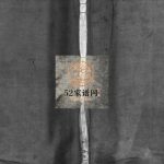 大林陈氏宗谱1905年重修 浙江温州乐清市陈氏电子版家谱下载