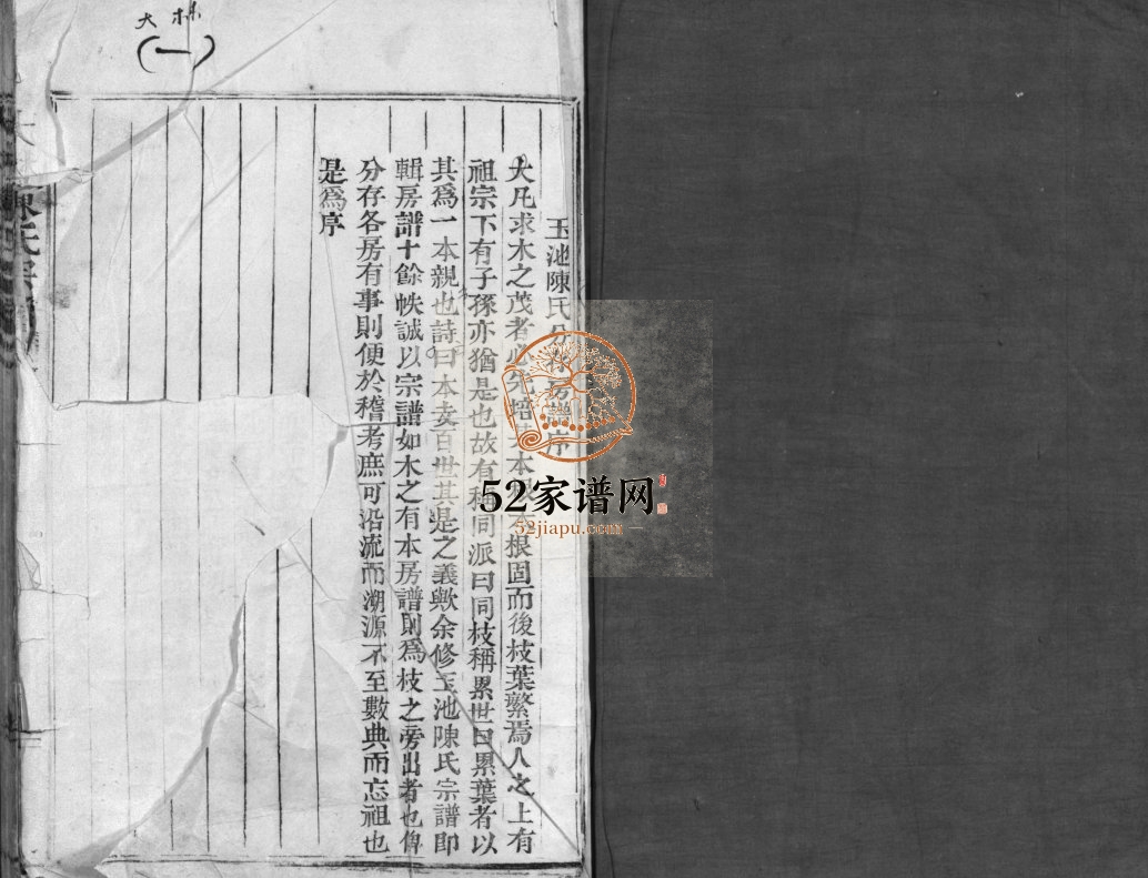 大林陈氏宗谱1905年重修 浙江温州乐清市陈氏电子版家谱下载