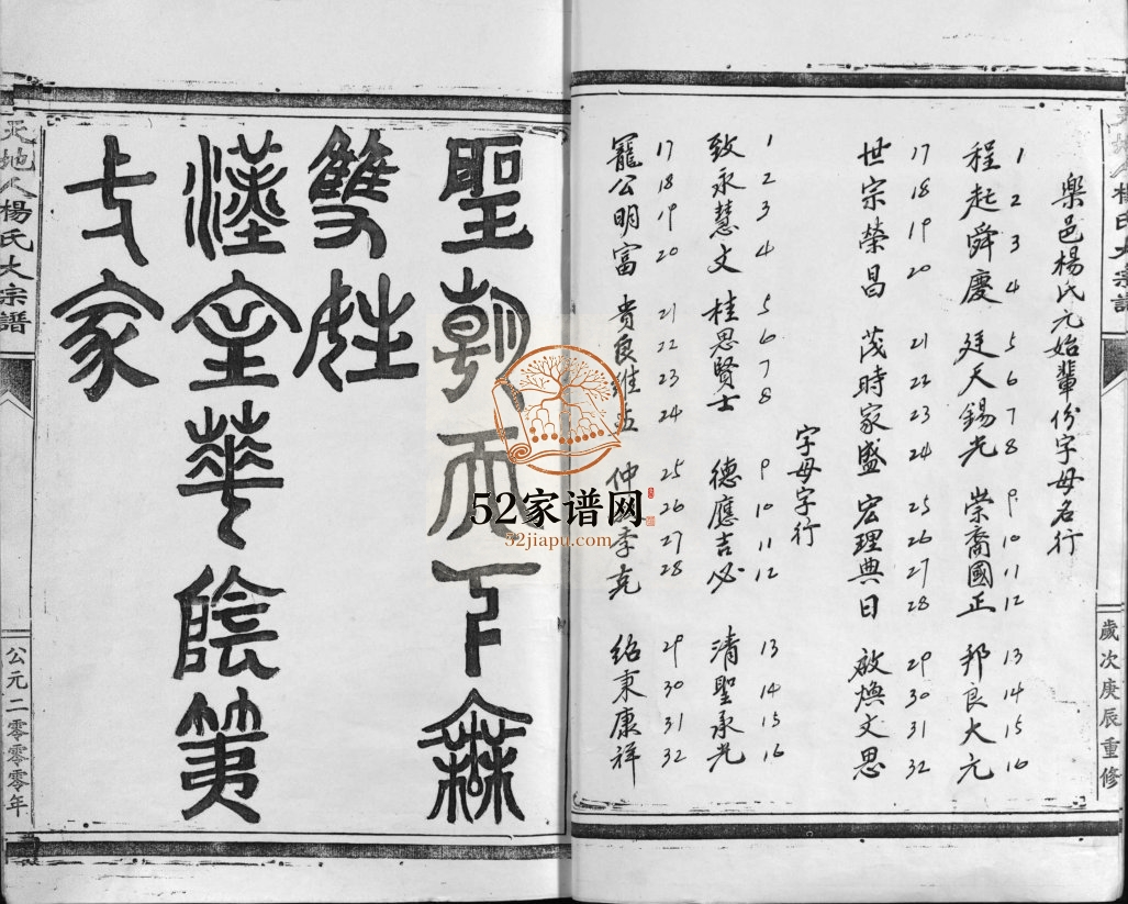 天地人杨氏大宗谱[不分卷]2000年重修 浙江乐清杨氏电子版家谱下载