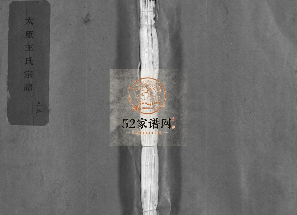 太原王氏宗谱[不分卷]1982年重修 浙江瑞安 平阳 玉环 乐清王氏电子版家谱下载