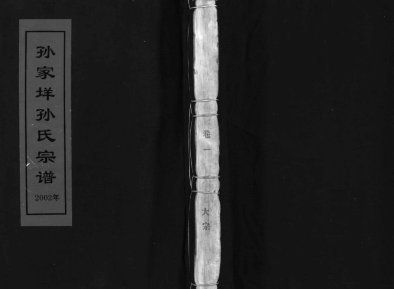 乐安郡孙家垟孙氏宗谱[3卷]2002年重修 浙江乐清市孙氏电子版家谱下载