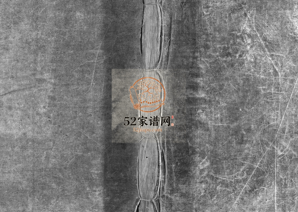 小芙蓉何氏宗谱[不分卷]1918年修 浙江温州乐清市何氏电子版家谱下载