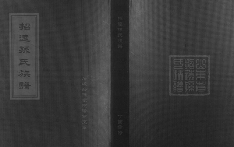 招远孙氏族谱.石城夼汪家院汤前支系2017年重修 山东省烟台PDF电子版家谱下载