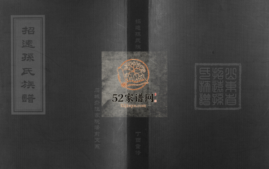 招远孙氏族谱.石城夼汪家院汤前支系2017年重修 山东省烟台PDF电子版家谱下载