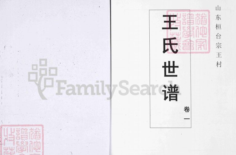 王氏世谱.山东桓台宗王村4卷1995年六修PDF电子版家谱下载