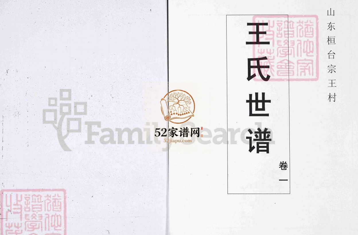 王氏世谱.山东桓台宗王村4卷1995年六修PDF电子版家谱下载