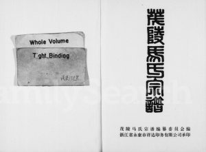 茂陵马氏宗谱1999年年修 浙江东阳马氏PDF电子版家谱下载