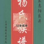 广东惠阳良井杨氏族谱 上洋围围龙屋学元公房谱2000年修PDF电子版家谱下载