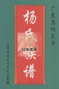 广东惠阳良井杨氏族谱 上洋围围龙屋学元公房谱2000年修PDF电子版家谱下载