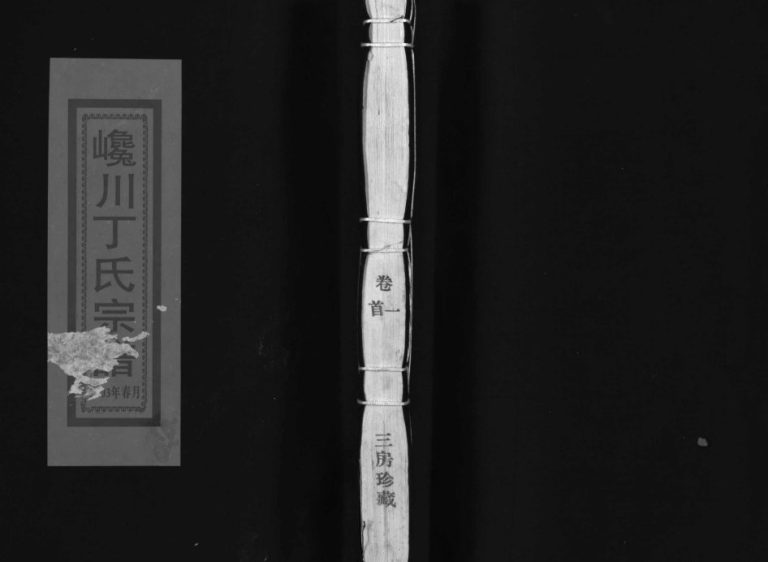 济阳郡巉川丁氏宗谱[2卷及卷首]2002年重修 浙江温州市乐清丁氏电子版家谱下载