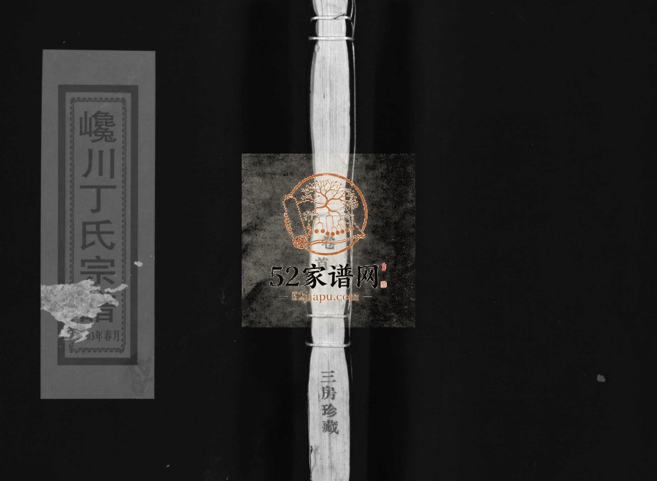 济阳郡巉川丁氏宗谱[2卷及卷首]2002年重修 浙江温州市乐清丁氏电子版家谱下载