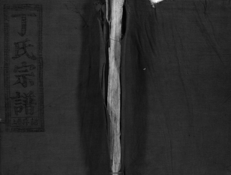 巉川丁氏宗谱[不分卷]1916年修 温州乐清市丁氏电子版家谱下载