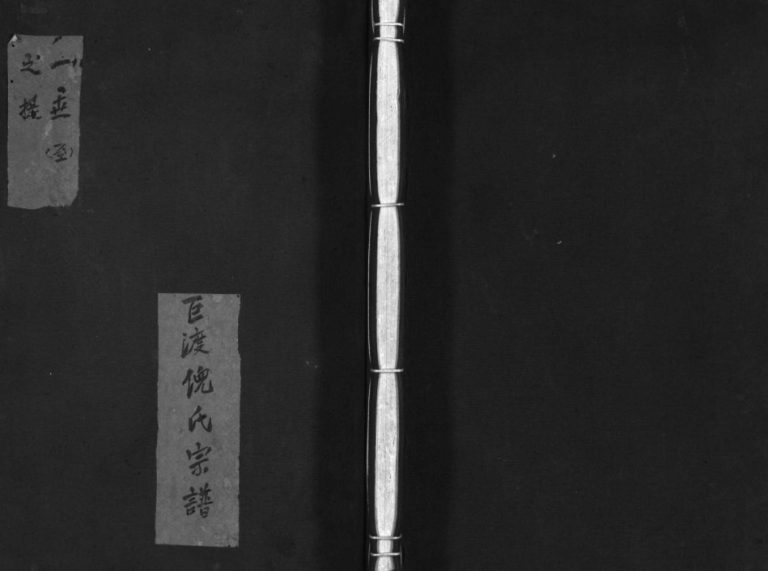 巨渡倪氏宗谱[4卷]1981年重修 浙江玉环 永嘉 乐清倪氏电子版家谱下载