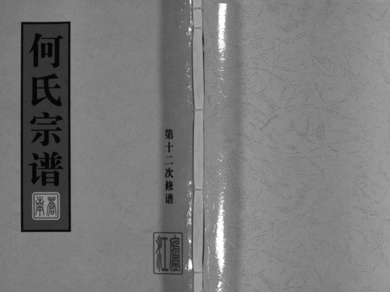 庐江郡何氏宗谱[不分卷]2006年重修 浙江温州市乐清何氏电子版家谱下载
