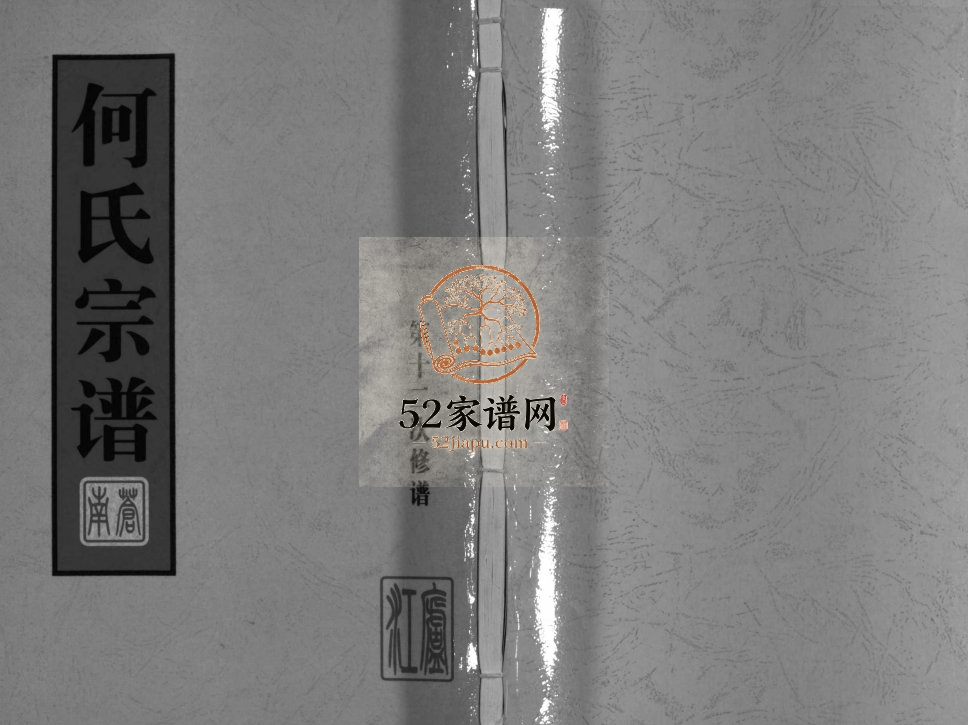 庐江郡何氏宗谱[不分卷]2006年重修 浙江温州市乐清何氏电子版家谱下载
