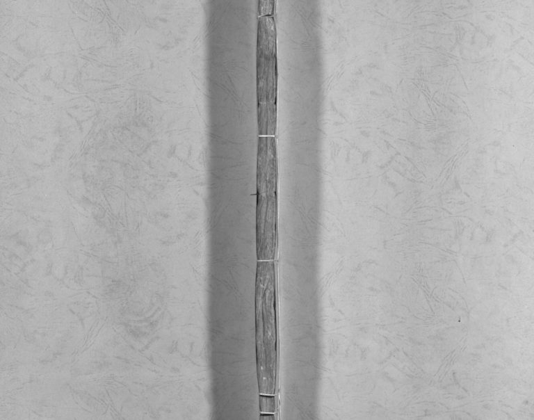 彭氏宗谱[不分卷]清同治5[1866]重修 浙江乐清彭氏电子版家谱下载