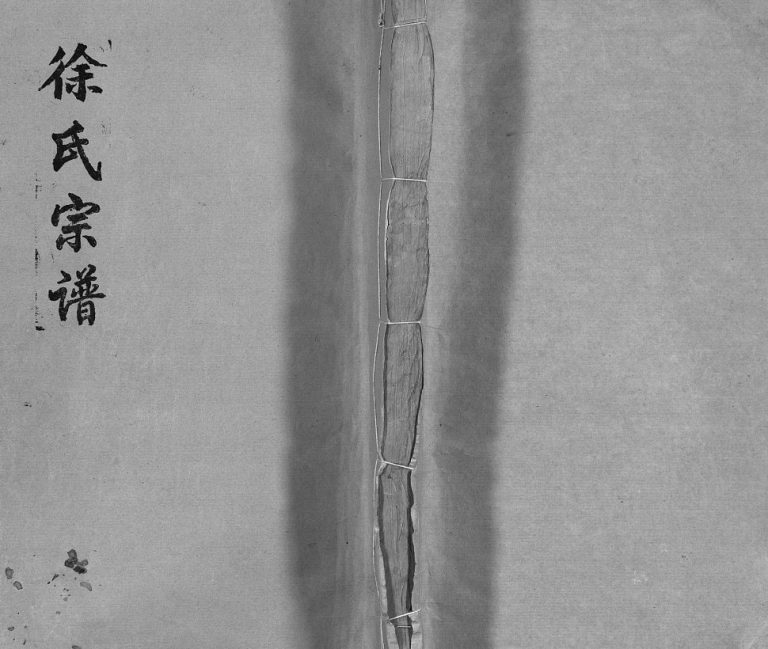 锦湖徐氏宗谱[5卷含首1卷]1919年修 浙江乐清徐氏电子版家谱下载