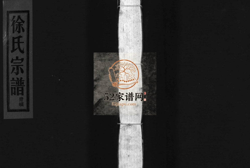 龙川屿西徐氏谱[不分卷]2003年重修 乐清 玉环东海郡徐氏宗谱电子版家谱下载