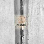 重修杏庄季氏宗谱[不分卷]1851年 浙江乐清季氏电子版家谱下载