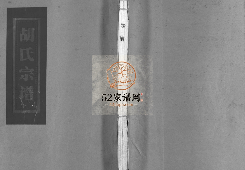 杏庄胡氏宗谱[11卷含卷首]2000年重修 浙江乐清市胡氏电子版家谱下载