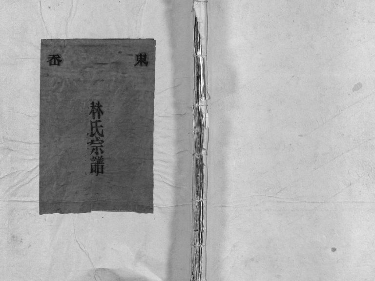 东岙林氏宗谱[不分卷]民国33[1944]年修 浙江乐清林氏电子版家谱下载