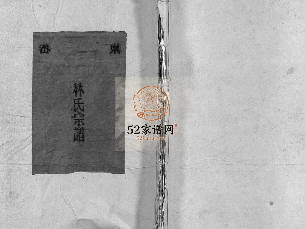 东岙林氏宗谱[不分卷]民国33[1944]年修 浙江乐清林氏电子版家谱下载
