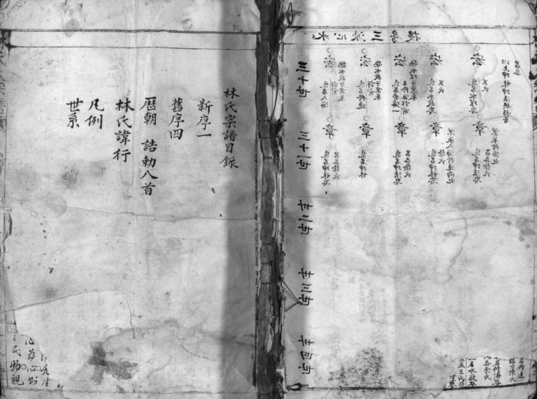 林氏大宗谱[不分卷]清光绪6[1880]重修 浙江乐清林氏电子版家谱下载