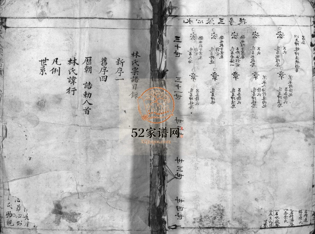 林氏大宗谱[不分卷]清光绪6[1880]重修 浙江乐清林氏电子版家谱下载