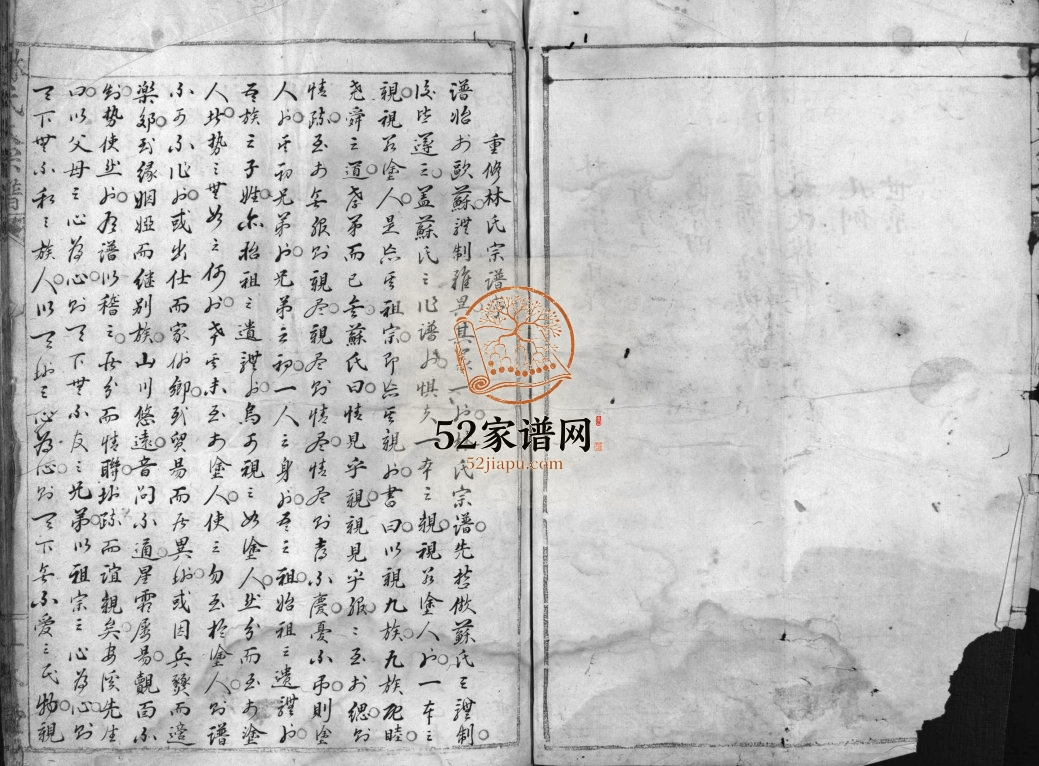林氏大宗谱[不分卷]清光绪6[1880]重修 浙江乐清林氏电子版家谱下载