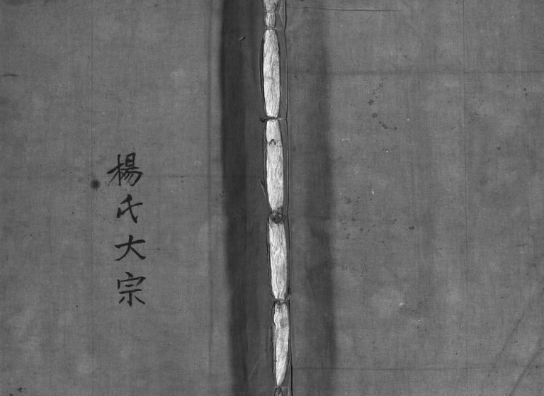 杨氏大宗[不分卷]1932年修 浙江乐清跳头杨氏宗谱电子版家谱下载