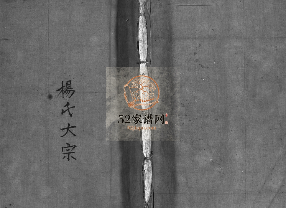 杨氏大宗[不分卷]1932年修 浙江乐清跳头杨氏宗谱电子版家谱下载