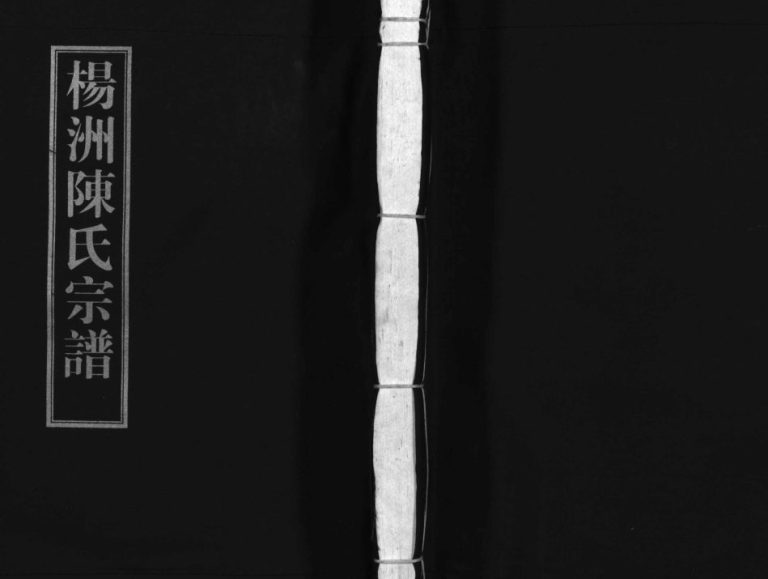杨洲陈氏宗谱[3卷,首1卷]2002年六修 浙江乐清陈氏电子版家谱下载
