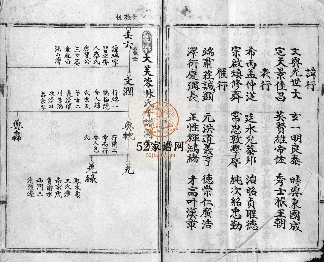 乐东大芙蓉林氏房谱[不分卷]1851年重修 浙江乐清林氏电子版家谱下载