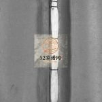 乐清仇氏大宗谱[10卷,附1卷]1994年八修卓屿下畲坛仇氏宗谱电子版家谱下载