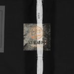 乐清娄岙陈氏宗谱[不分卷]2001年增修 玉环颍川郡陈氏宗谱电子版家谱下载