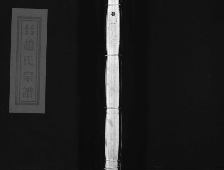 乐清霞雪赵氏宗谱[3卷]2003年重修 温州 玉环下岙赵氏电子版家谱下载