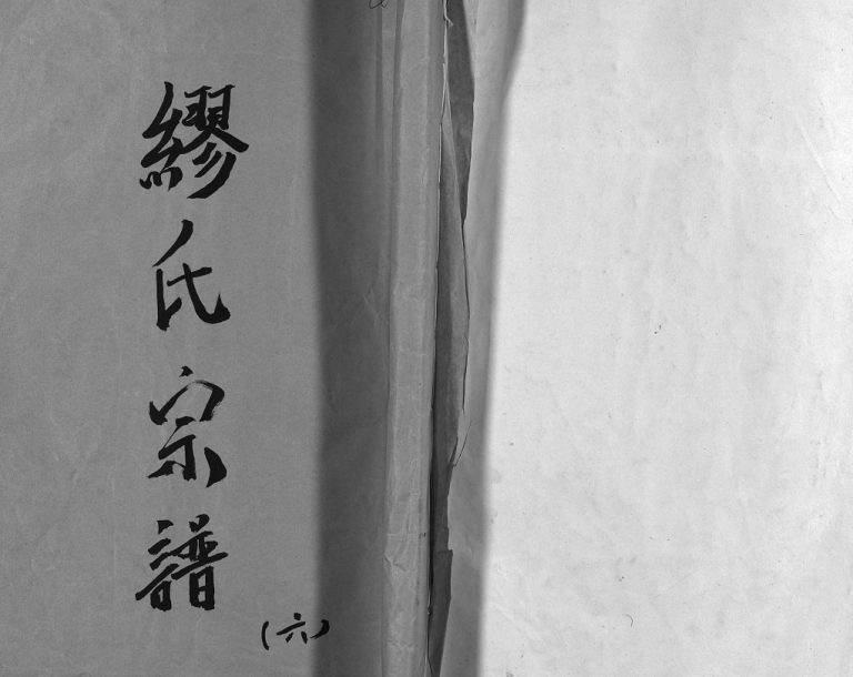 乐邑长垟缪氏宗谱[不分卷]1945年修 浙江乐清缪氏宗谱电子版家谱下载