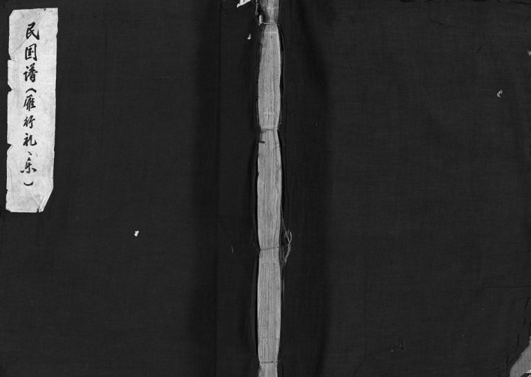 樟川施氏宗谱[不分卷]1926年重修 浙江乐清施氏电子版家谱下载
